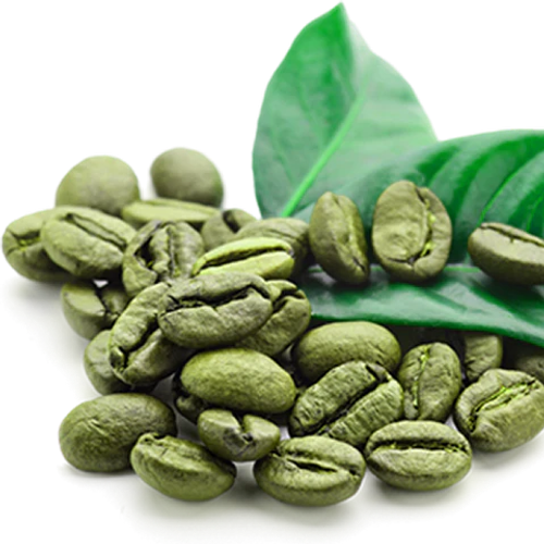 Green Coffee Bean