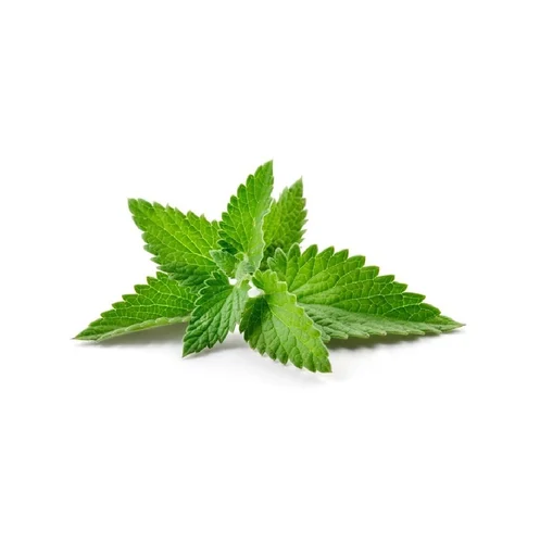Peppermint Leaf Extract