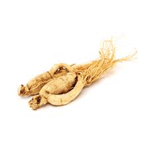 Panax Ginseng