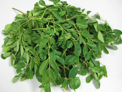 Moringa Leaf