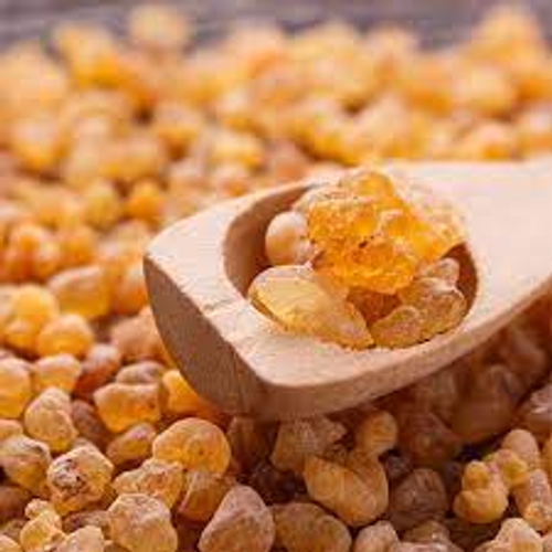 Indian Frankincense