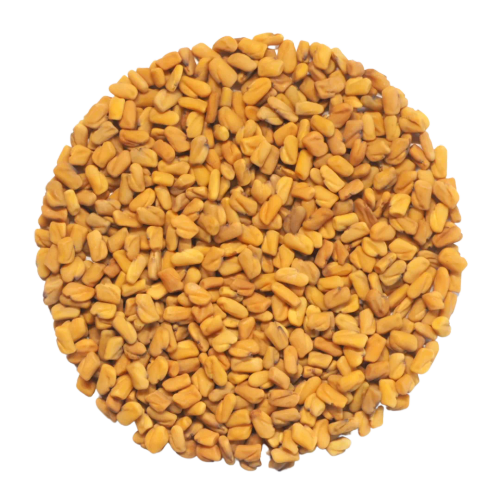 Fenugreek Extract