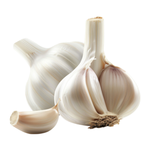 Garlic Extract