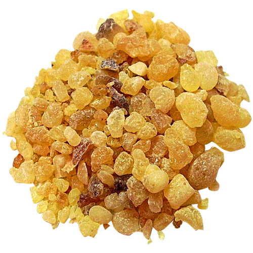 Indian Frankincense