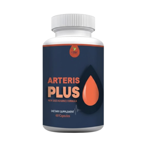 Arteris Plus Product